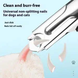 S079abadc556944f7a69038853da6738ff