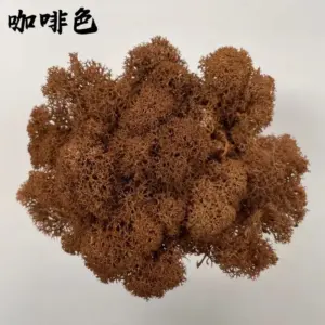 S083a6d7b937345d4a0523369126891d7Y