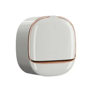 S08731ac2e1bf4527b7a5b9f99c66b3c9A