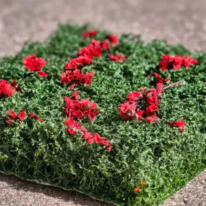 S0926f3765dd14cbc8bc2ce00005b0b55T