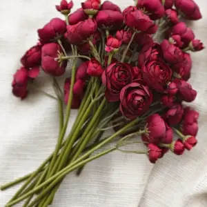 Wine Silk Ranunculus Flower Set - 18 Pcs 8 S09998b74fba042ada2d25835dac68981t