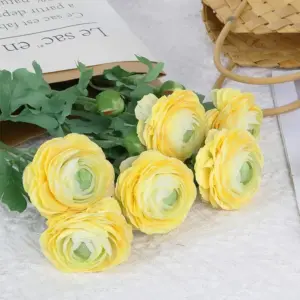 S09e609ab23be478e890b7ace2f9b10d5g