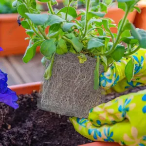 304 Stainless Steel Pest-Guard Plant Mesh Bag 10 S0a3cb01b1fc140b4a6a089e437043e1dN