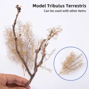 S0a431c80cd36478ab681cc896ce93ac1c