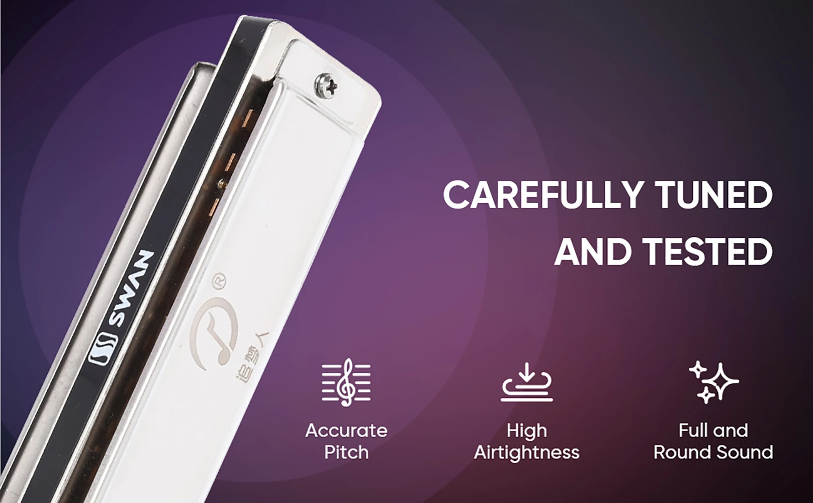 Elegant 12-Key Diatonic Blues Harmonica 4 Elegant 12-Key Diatonic Blues Harmonica - Image 4