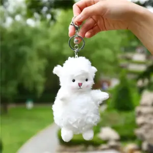 S0ba5593de4bf41ff8efd9cbf50caf0c1P