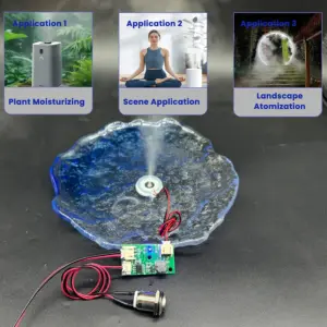 S0d0861ed1b0c43ceaaeeaa6c532e9e0dY