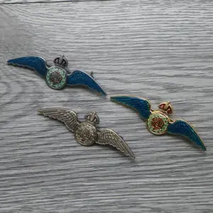 RAF Pilot Wings Badge Replica Collection