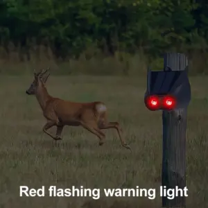 S103fb3c5b0834f3181b2d9ffb171b505J