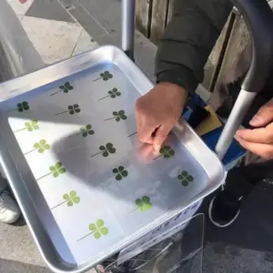 Lucky Four-Leaf Clover Postcards Set of 5 or 10 10 S1051e54bdddd485a8e700aa3de554748I