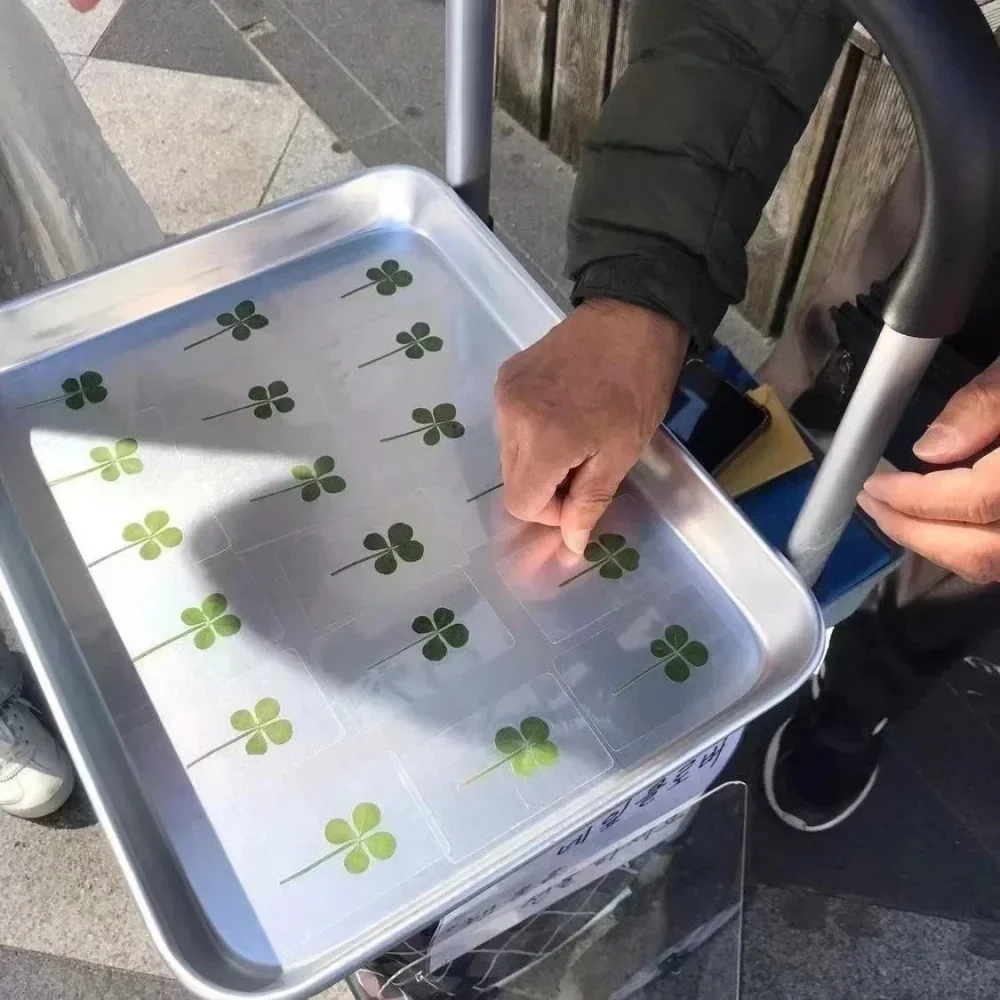 Lucky Four-Leaf Clover Postcards Set of 5 or 10 4 Lucky Four-Leaf Clover Postcards Set of 5 or 10 - Image 4