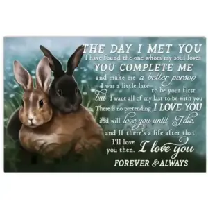 S1157d2bd15bf417da2fe4884bd0dbaf8m