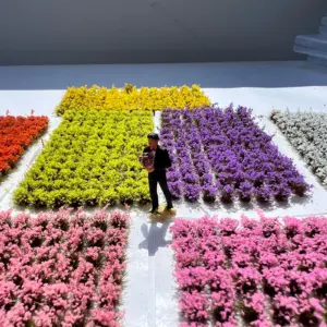 S11776183dfda4a268da127befa85aa1ct