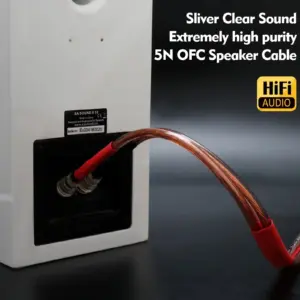 S137cdd63ac67436c9a5122912b690422G