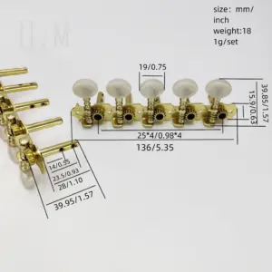 10-String Guitar or Mandolin Metal Tuning Pegs 15 S14826de251e246269b2f03beb1ceac0eZ