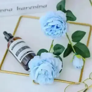 S15b76d7421b5468ba8cd7f0e32883b070