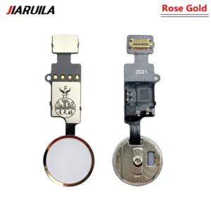 S15deea7d00b449e69c3031b4992dfdeeP 2