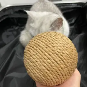 Interactive Handmade Cat Toy Ball 7 S15f9f20f1764422285dc2565531026362