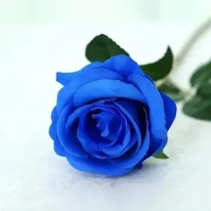 S1667819a1e1e49ecae6363731f156bc07