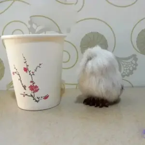 Miniature Plush Owl Decoration for Home 12 S1758f0a2ae5a4439ab8a2350ce958ce99