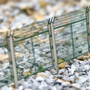 S18483a54153f4591bd67c858df690161t