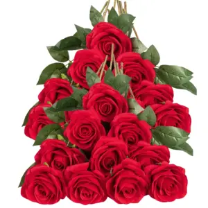 S18d467d46b4549498e715275fee4af309