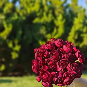 Wine Silk Ranunculus Flower Set - 18 Pcs 9 S195d114c978b47e8b64ca73b6ec158745