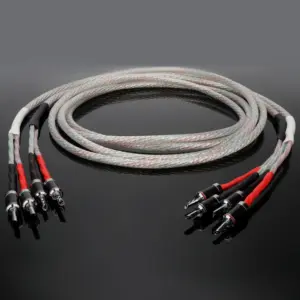 S1b680a68c36f4a28a6847028251fed10R