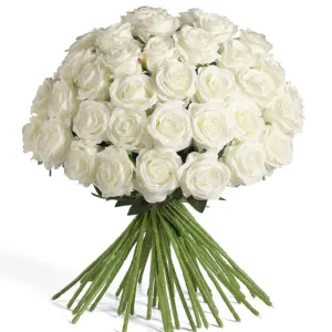 S1c26cec4dcec4b2c833aa7381c29b0a2c