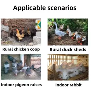 S1c3048c3b43f45d49962d5180081c7f1j