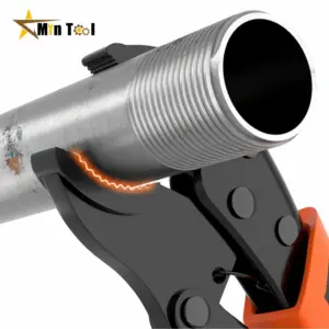 S1c6d9b2c9d46446a8b562aadb21ea1e4t