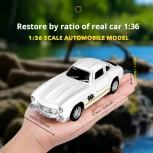 S1c905d84386e40d081244d29e11555a6w