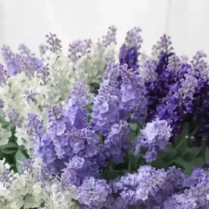Artificial Lavender Bouquet for Decor 11 S1d18676c5b92425fa592cc2162e53573c