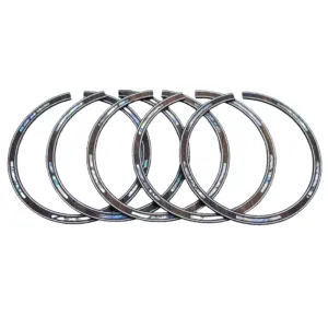 S1d6da70f6e85403d81c5446f0d406144Q