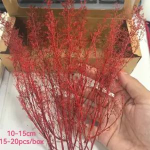 S1dd41abefba14bcda88f3f2455b98feeS