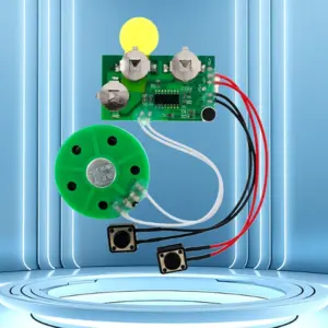 Recordable Voice Chip Module for DIY Projects 10 S1e25c082af104ee39fbc89914a65288ft