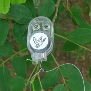 S212fed70e780468da892ca36d4eab6dcP