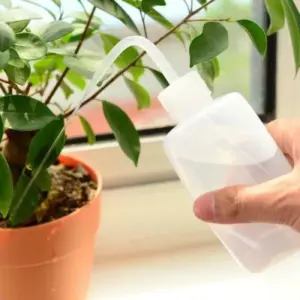 Miniature Watering Can for Small Plants 9 S2164eded9a4c4ccdb4712e1974fd1e542