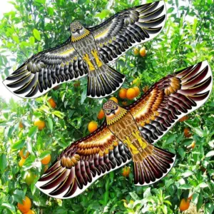 S23d46a7048c04327b73afdc23f63c37ex