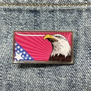 American Flag Bald Eagle Patriotic Lapel Pin 9 S23f0660f8e444d17981e7c0380e6aab6Y