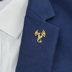 Edgy Alloy Scorpion Brooch for Men & Women 11 S25976c5c4e4f47d2a8eb3236011feaaeD