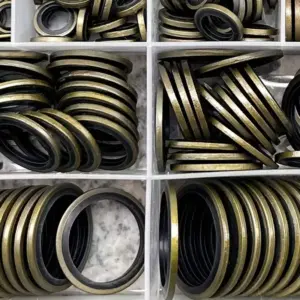 S272062d1c6d741ea9398d4fa441995fbR