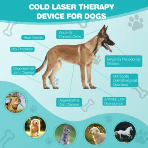 Pet Cold Laser Therapy Device 620nm 18 Diodes 12 S293433dd8a96472c9c4fee3c2f84ddc0c