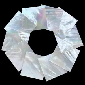 S2b99bdc040444ae48cb25c86dc0c86de0 1