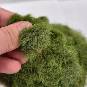 S2bcca4b6e6c14adca9ea92934b0a930cf