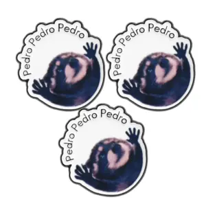 S2d384a92aac6444c97c11b869e3d2b70n