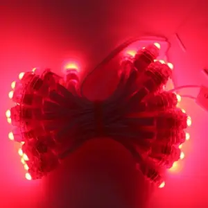 9mm Pixel Points LED Module String Lights for Outdoor Signage 10 S2e280ce1cc50493b85557b2f4edbec6c0