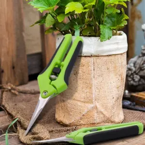 S2e3eb00d6e464b18ac5d8d8f988fca614