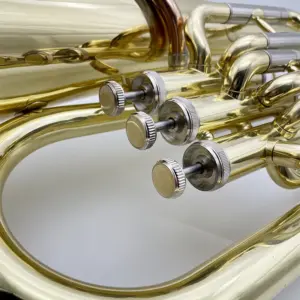 S2e68e96428d648cf920b37a953aa2adcA