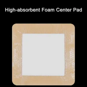 S2fb77b75915144a8af16d2bed34635f1p